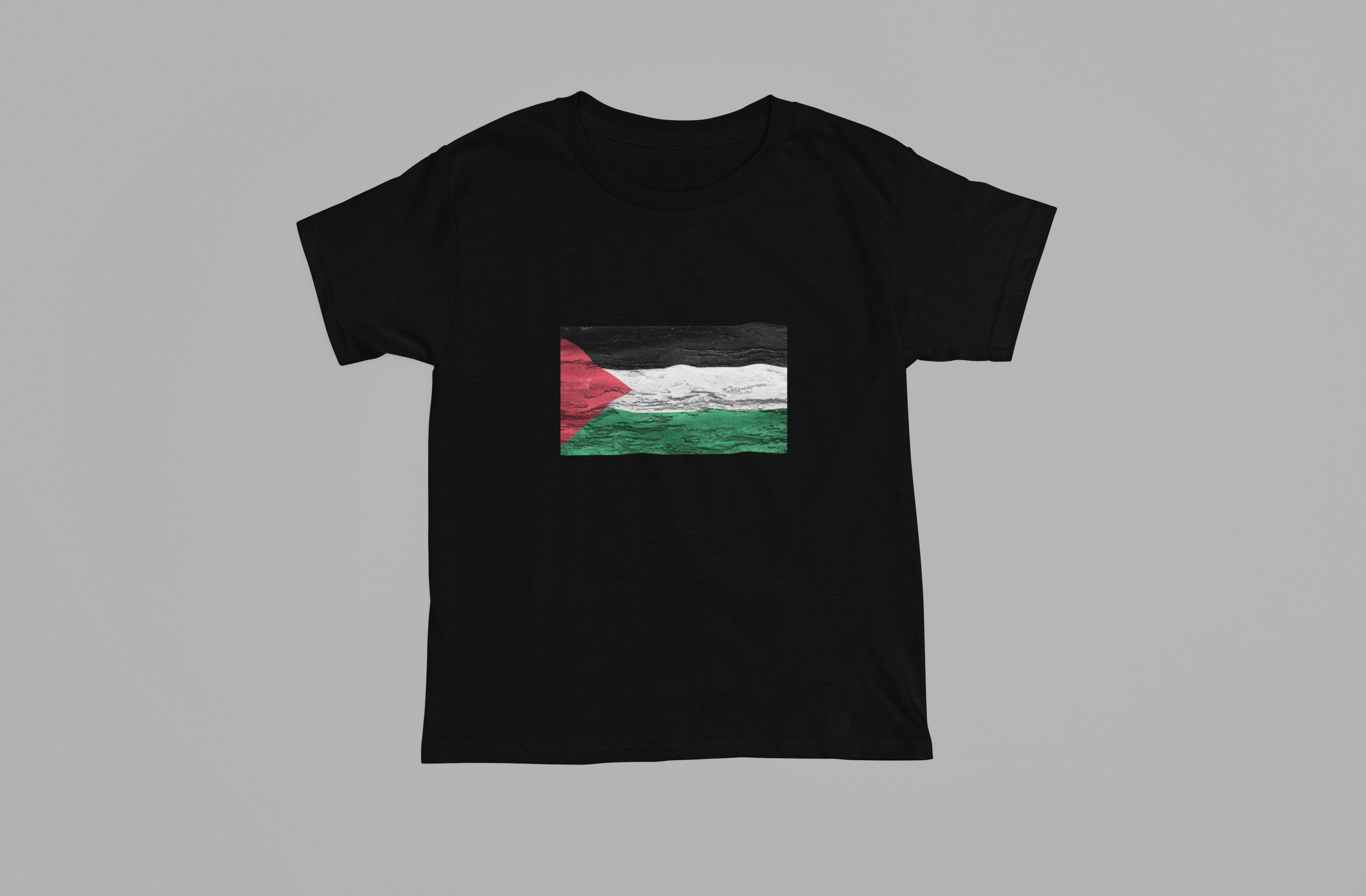 Palestine Flag T-Shirt